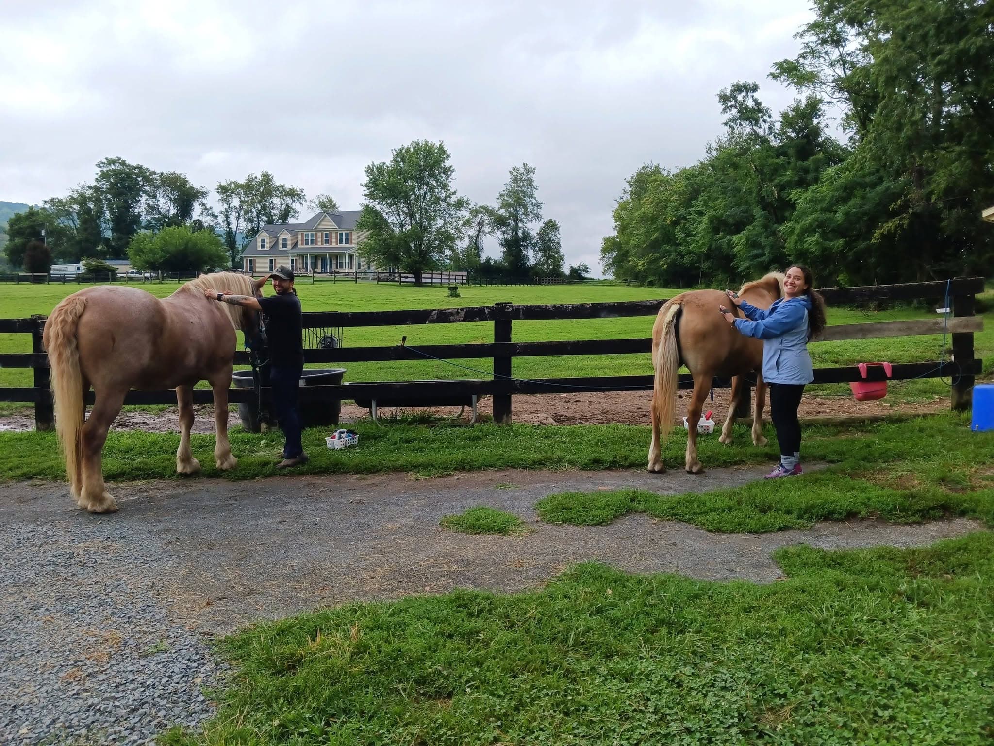 Two people tending horses beside a black fence at the Eagle’s Nest farm